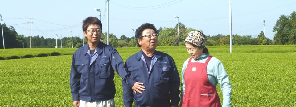 飲んで納得、買って満足のお茶づくり。静岡県牧之原市 てっちゃんの茶工房。